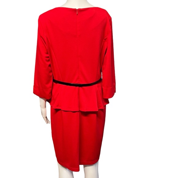 Alyx Petites - Womens Dress w/belt Sz 14P - Picture 6 of 6